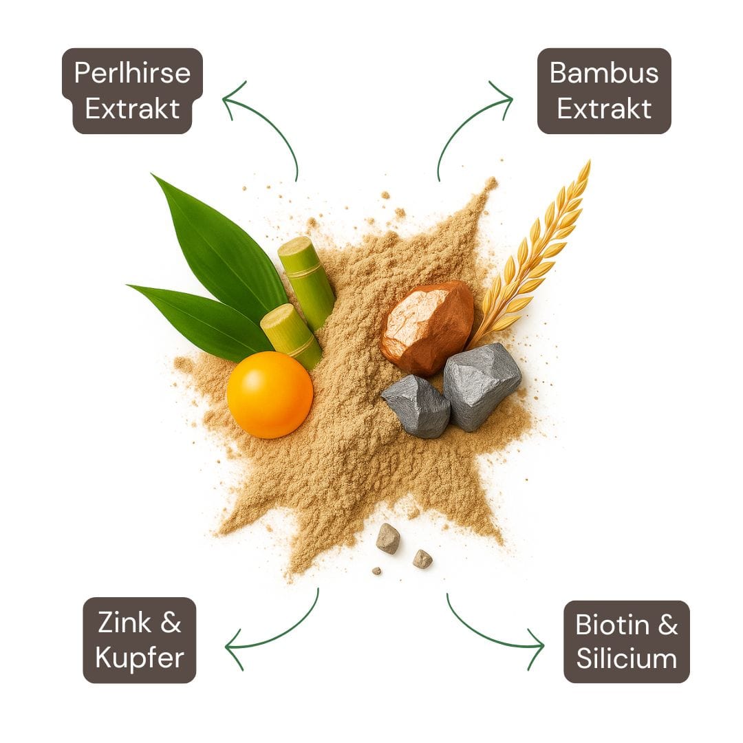 Inhaltsstoffe der Haar & Nagel Kapseln: Biotin, Perlhirse-Extrakt, Bambus & Zink – für kräftige Haare & Nägel