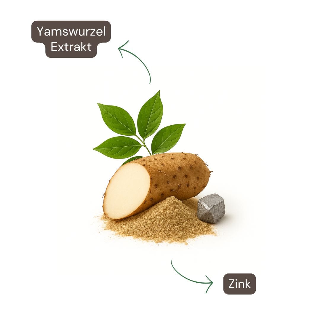 Inhaltsstoffe der Yamswurzel Kapseln mit Diosgenin – ideal bei hormonellen Schwankungen und Wechseljahren