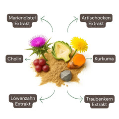 Inhaltsstoffe der Leber Komplex Kapseln von Naturaleza